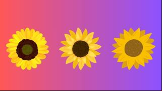 Elige uno de los girasoles para descubrir cuál es el gran propósito de tu vida