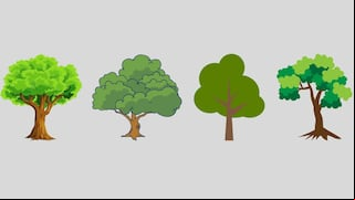 Test visual: elige uno de los árboles para descubrir qué tipo de carácter tienes