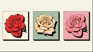 Elige una de las rosas en esta imagen para descubrir cómo te irá en el amor este 2025