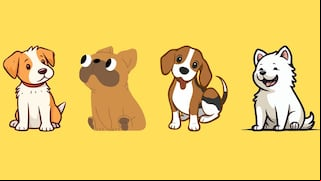 Test de personalidad: elige uno de los perros para descubrir qué te depara el futuro
