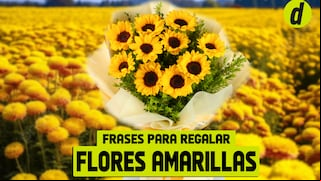 Frases para acompañar con flores amarillas el 21 de marzo: mensajes, imágenes y origen