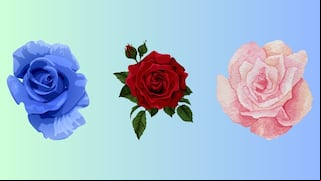 Elige una de las rosas en esta imagen para descubrir quién sería tu pareja ideal
