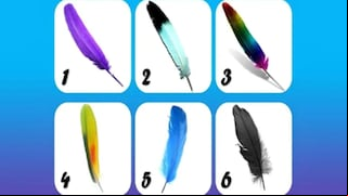Descubrirás quién eres cuando indiques cuál es tu pluma favorita