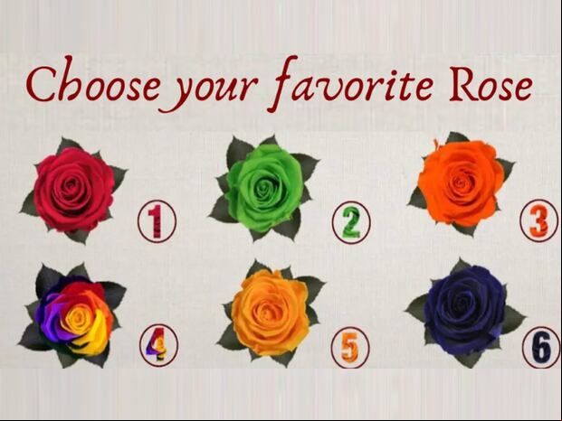 TEST VISUAL | Esta imagen te muestra muchas rosas. ¿Cuál es tu favorita? (Foto: namastest.net)
