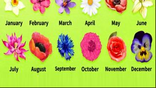 Sabrás cómo eres, según la flor que corresponde al mes de tu cumpleaños