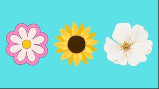Elige una de las flores en la imagen para conocer cuál es tu mayor virtud como persona