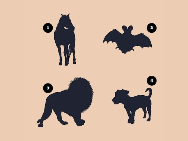 Test visual: Cada animal oculta algo interesante. ¿Por cuál te decides? (Foto: Composición Freepik / Depor)