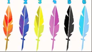 Test visual: elige una pluma y revela tu personalidad oculta