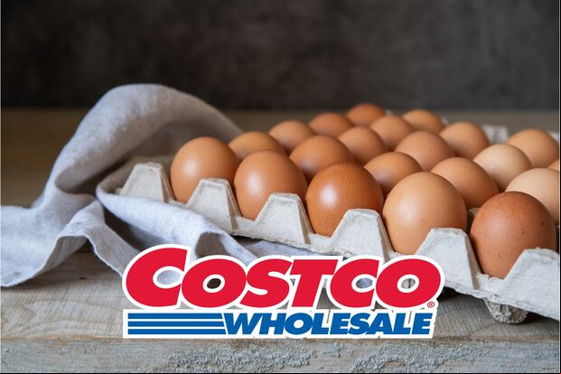 El precio de los huevos ha sido una preocupación en la sociedad estadounidense (Foto: Freepik)