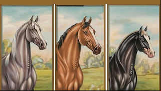 Elige uno de los caballos en esta imagen para descubrir cuán lejos llegarás e la vida